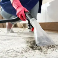 Carpet Shampooing(Up 25 sq. ft.) Image